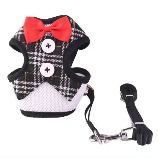 Elegant Bow Dog Collar & Adjustable Leash Set