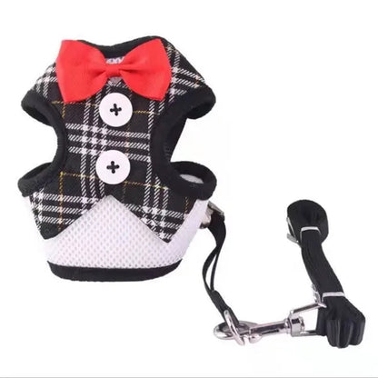 Elegant Bow Dog Collar & Adjustable Leash Set