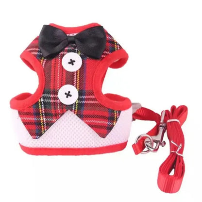 Elegant Bow Dog Collar & Adjustable Leash Set