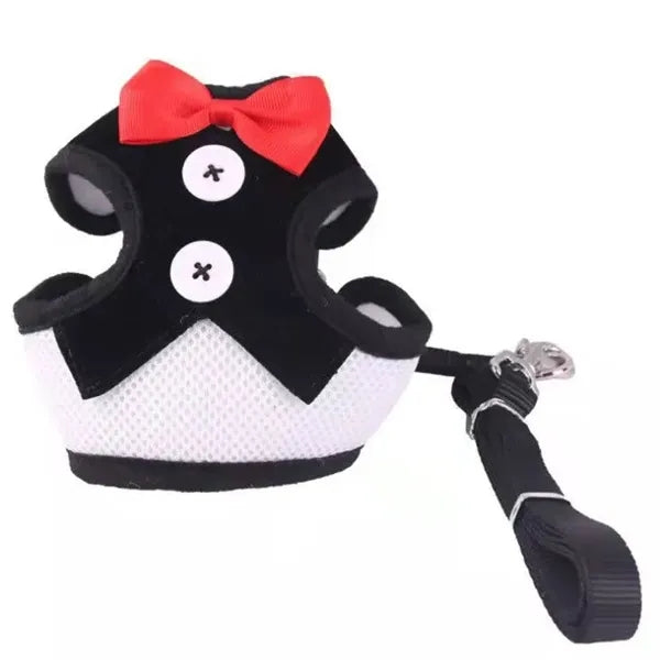 Elegant Bow Dog Collar & Adjustable Leash Set