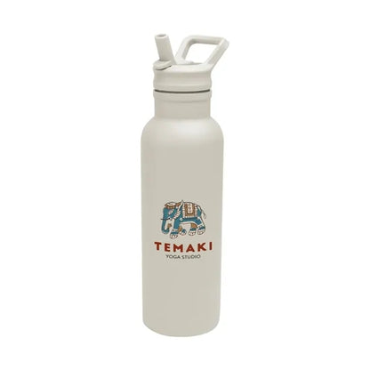 17 Oz. Hailey Recycled Stainless Steel Bottle