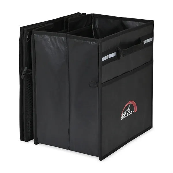Structure Cargo Organizer with Cooler