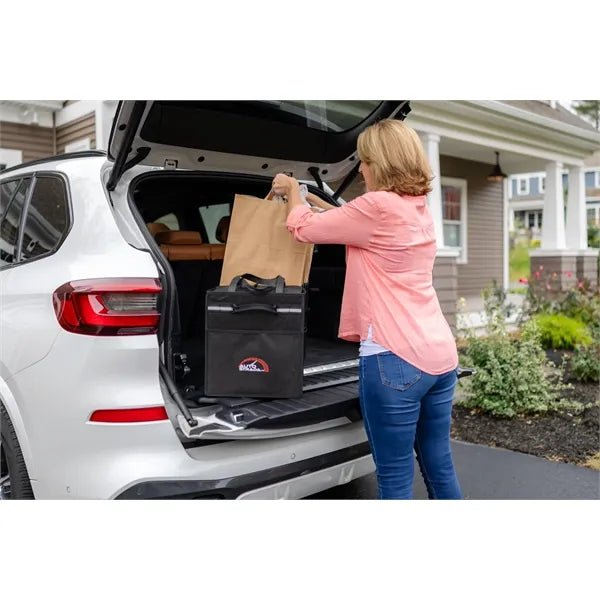 Structure Cargo Organizer with Cooler