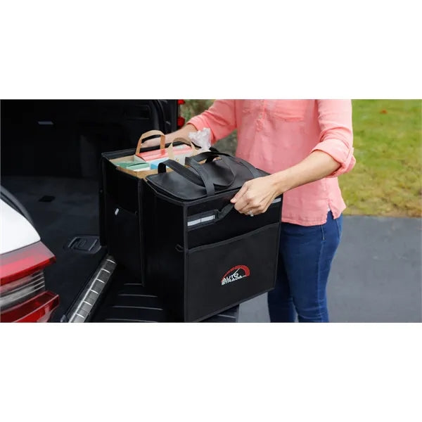 Structure Cargo Organizer with Cooler