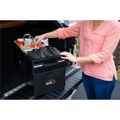 Structure Cargo Organizer with Cooler