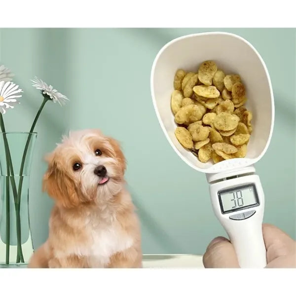 Digital Scale Spoon with LCD Display