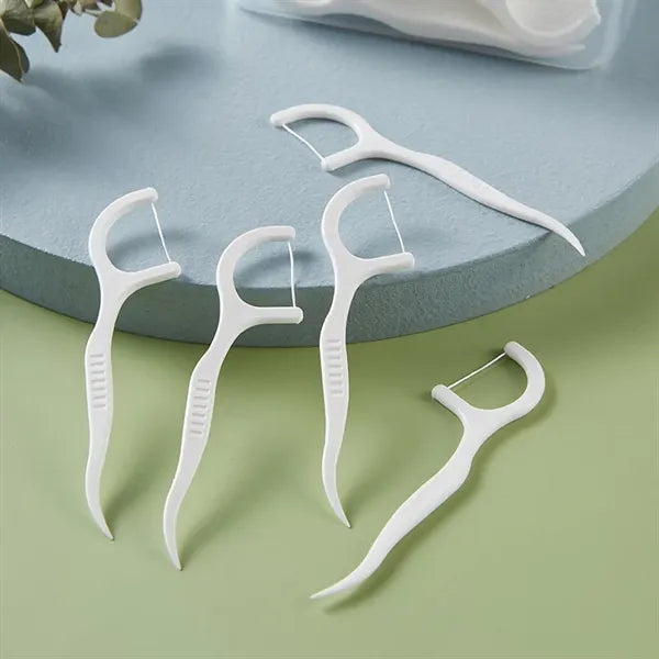 10 Pcs Dental Floss Kit