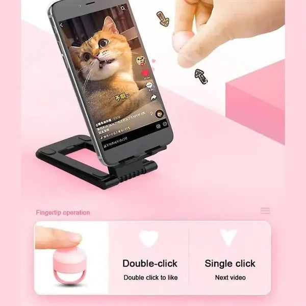 Portable Video Remote