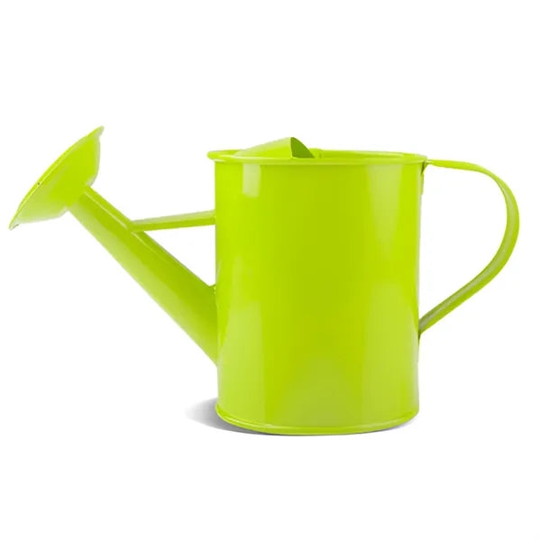 MOQ 50 PCS Sturdy 20oz Gardening Iron Watering Can