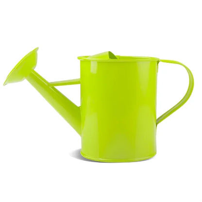 MOQ 50 PCS Sturdy 20oz Gardening Iron Watering Can