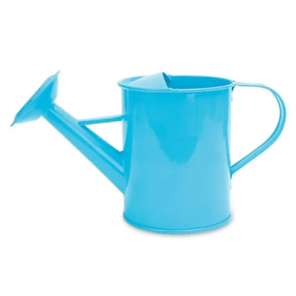 MOQ 50 PCS Sturdy 20oz Gardening Iron Watering Can