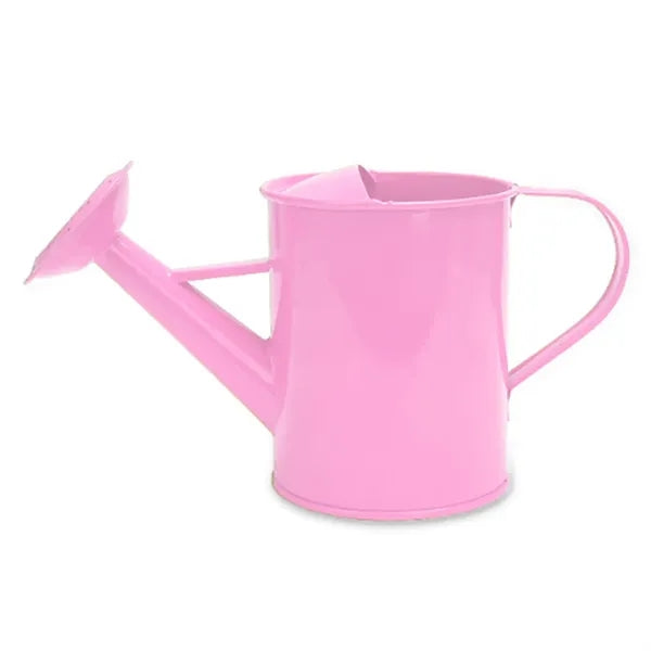 MOQ 50 PCS Sturdy 20oz Gardening Iron Watering Can
