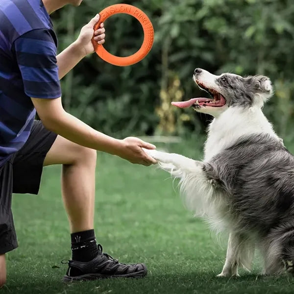Dog Toy Bite-Resistant Pull Ring