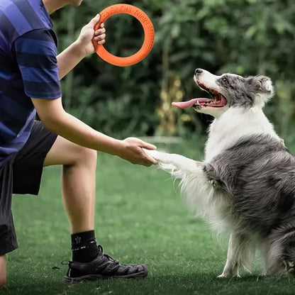 Dog Toy Bite-Resistant Pull Ring