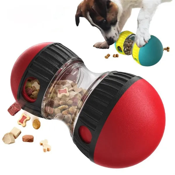 Rolling Slow Feeder Ball Training
