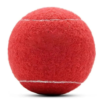 Dog Training Toy Tennis Ball