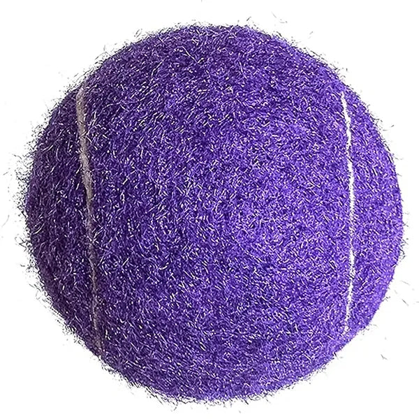 Dog Training Toy Tennis Ball