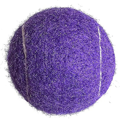 Dog Training Toy Tennis Ball