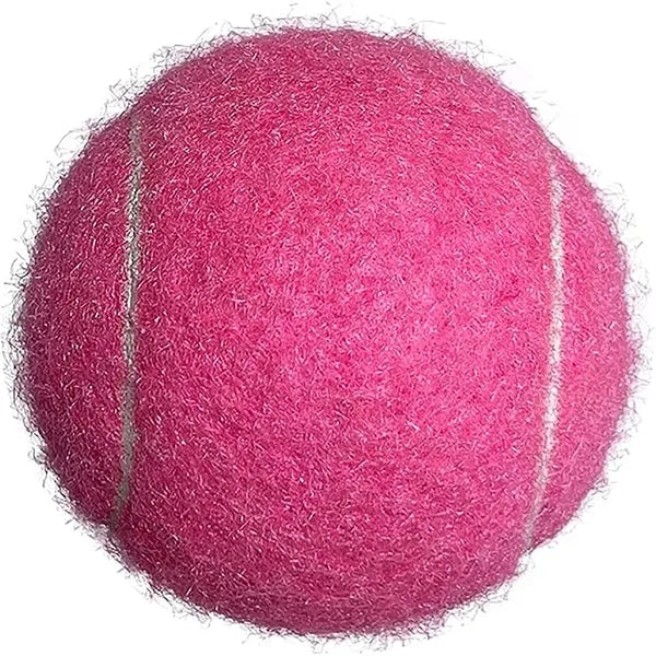 Dog Training Toy Tennis Ball