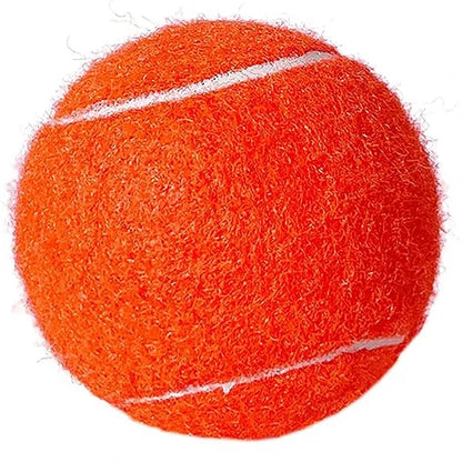 Dog Training Toy Tennis Ball