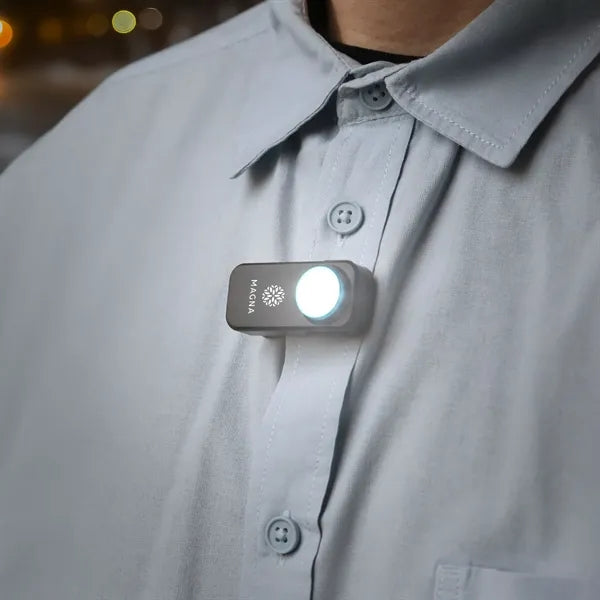 Lumaray Clip-On Flashlight