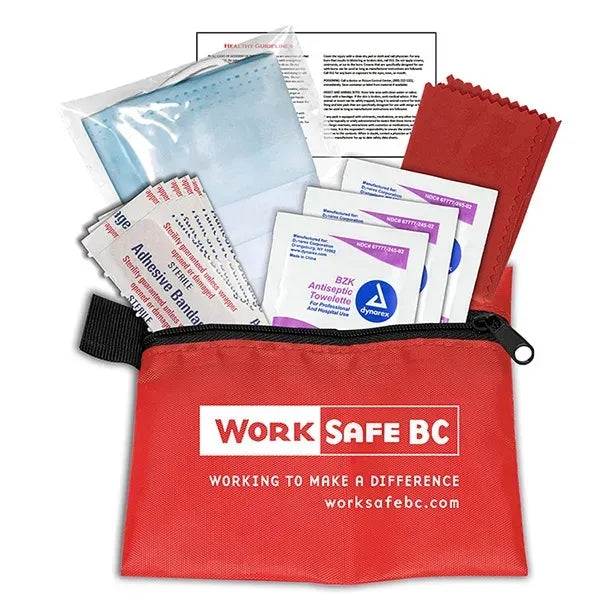 Oreron 11 Pcs First Aid Antiseptic and Protective Kit