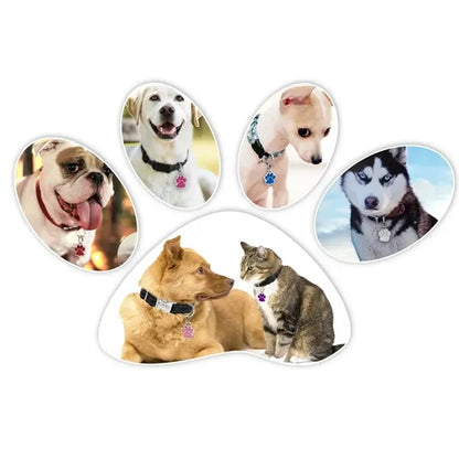 Stainless Steel Name ID Tags For Pet