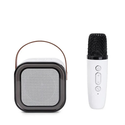 PartyWave Portable Karaoke System