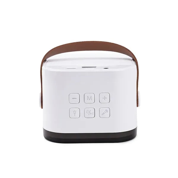 PartyWave Portable Karaoke System