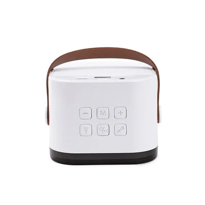 PartyWave Portable Karaoke System