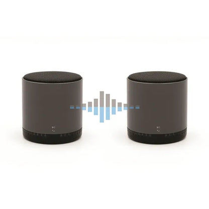 Soundstream TWS
