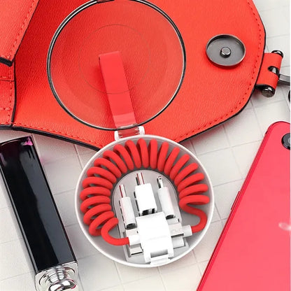 Versatile Extendable Charging Cable Set with 3 USB Adapters