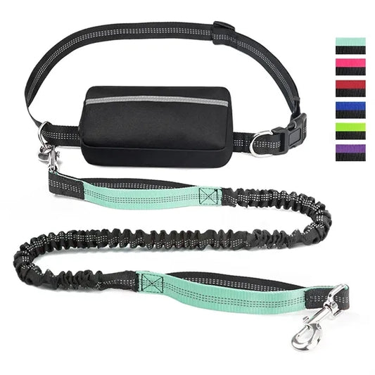 Stretching Dog Leash W/ Waist Bag