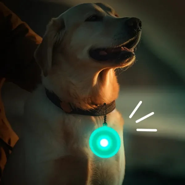 LED Pet Night Light Up Safety Pendant
