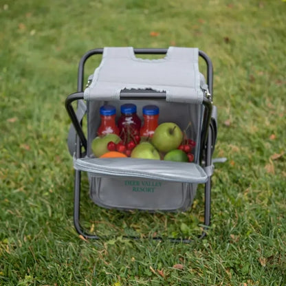 Riverbend Foldable Cooler Backpack & Chair