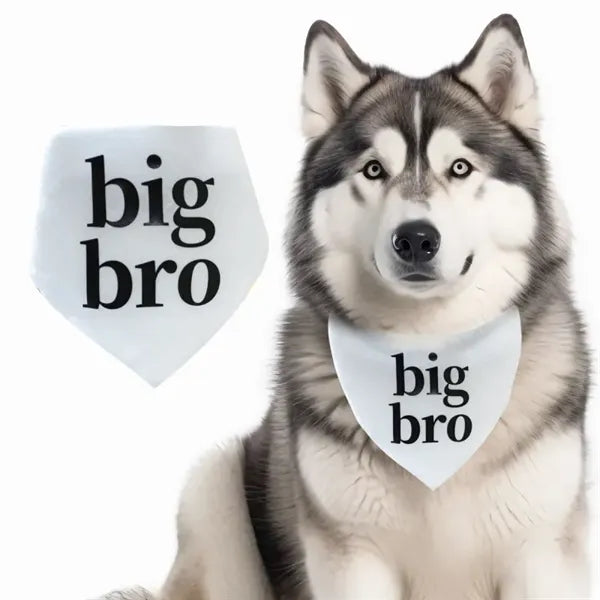 Dog Bandana Pet Triangle Bibs
