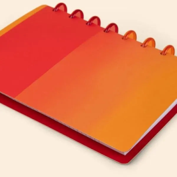 DISC JOURNAL - SMALL - 2X LAMINATED COVER