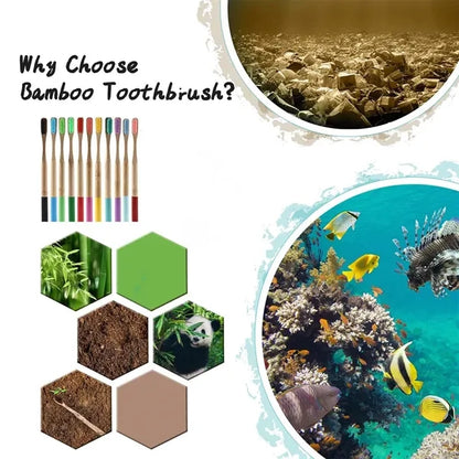 Soft Eco-Friendly Travel Natural Bamboo Wooden Toothbrush