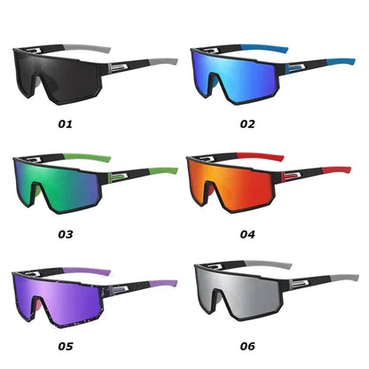 Polarized Sunglasses