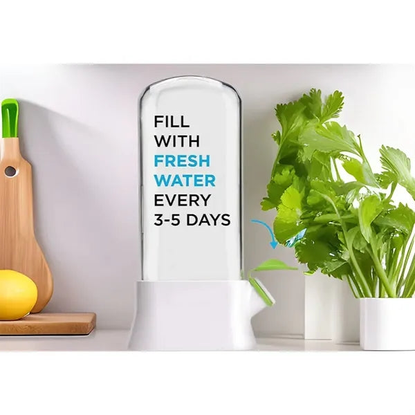 vegetable fresh-keeping box
