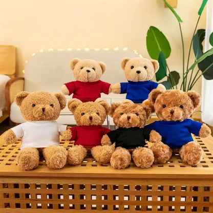 10 Inch Plush Teddy Bear With Custom T Shirt