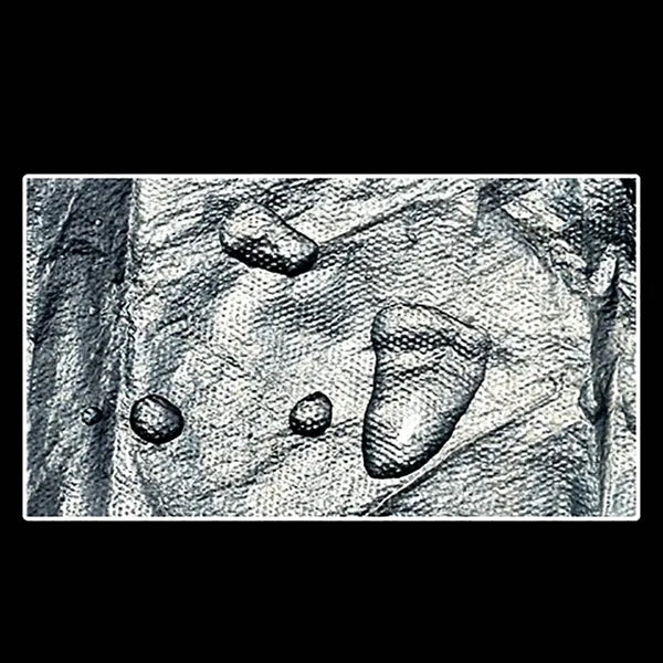 Transparent Disposable Apron