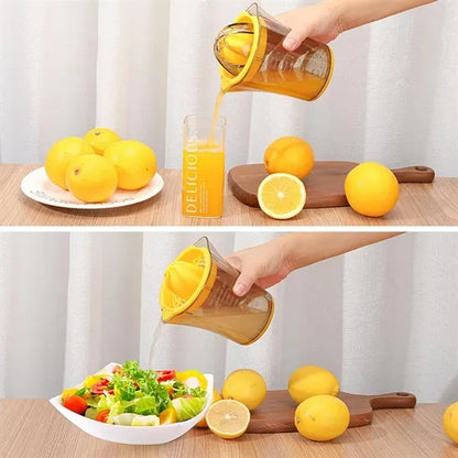 Hand Citrus Juicer