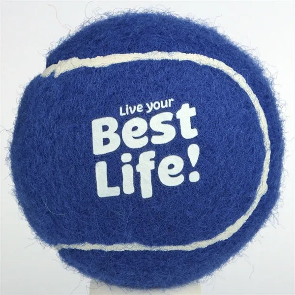 Tennis Ball Fetch Dog Toy