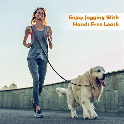 Leather Braided Dog Leash