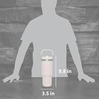 30oz Stainless Steel Tumbler with Top Handle