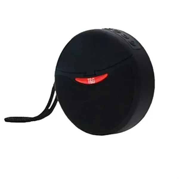 2 in 1 Bluetooth Speaker with Wireless Earbuds