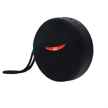 2 in 1 Bluetooth Speaker with Wireless Earbuds