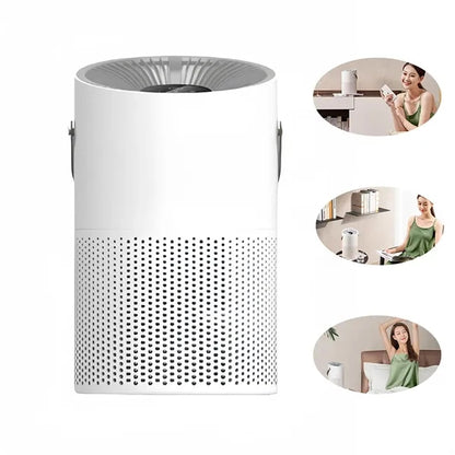 Portable Indoor Air Purifier