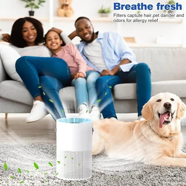 Portable Indoor Air Purifier